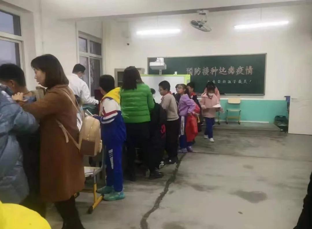 2025新澳精准正版免费资料或2025年仔细释义、解释与落实、精准解答解释落实