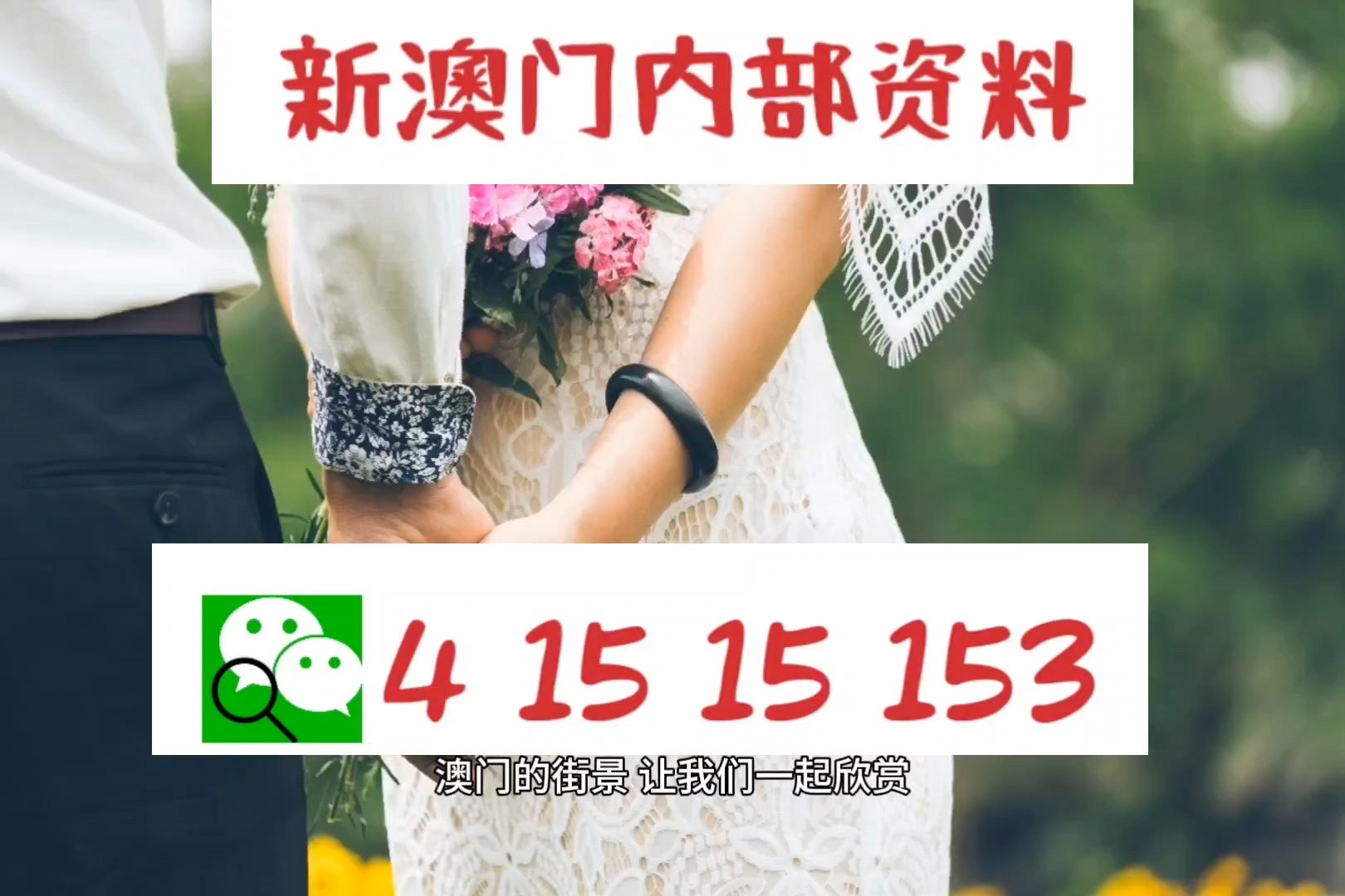 澳门正版免费资料精准看二详细解答、解释与落实、全面解答解释落实