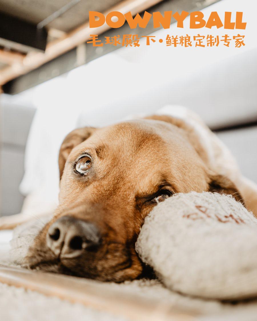 7777788888管家婆狗详细解答、科学解答解释落实